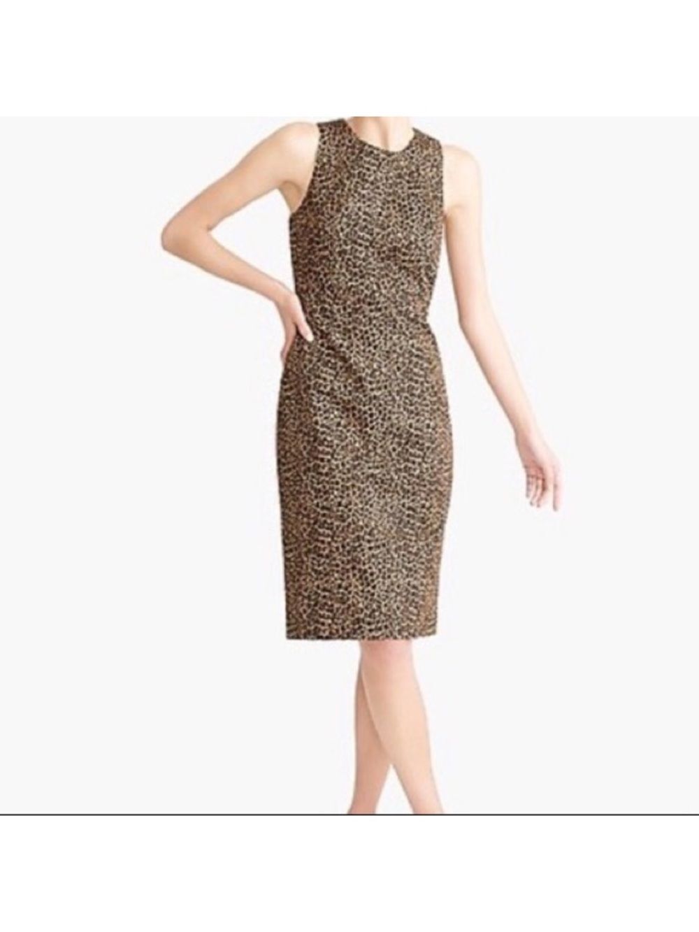 J Crew Factory Leopard Print Midi Dress Lined Size 6